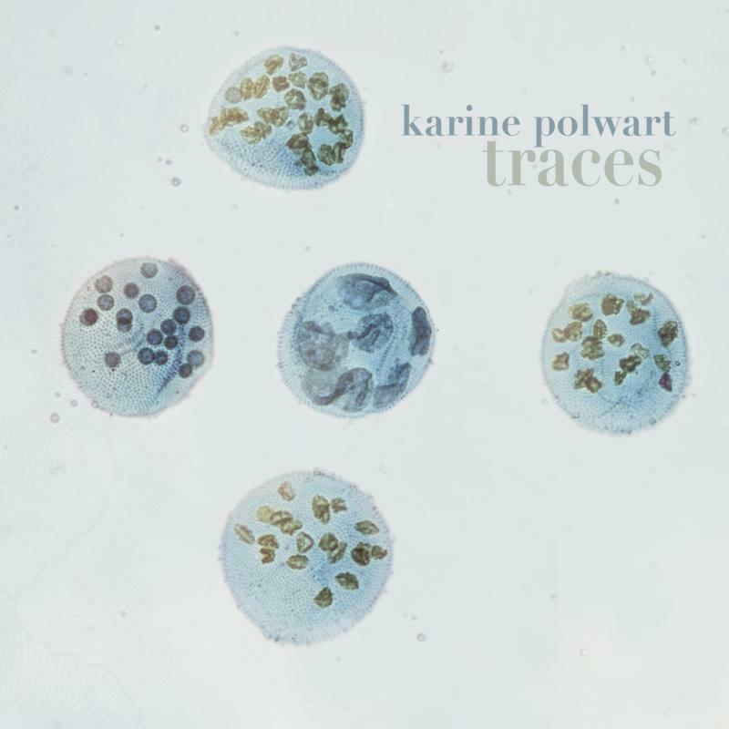 Picture of Karine Polwart - Traces