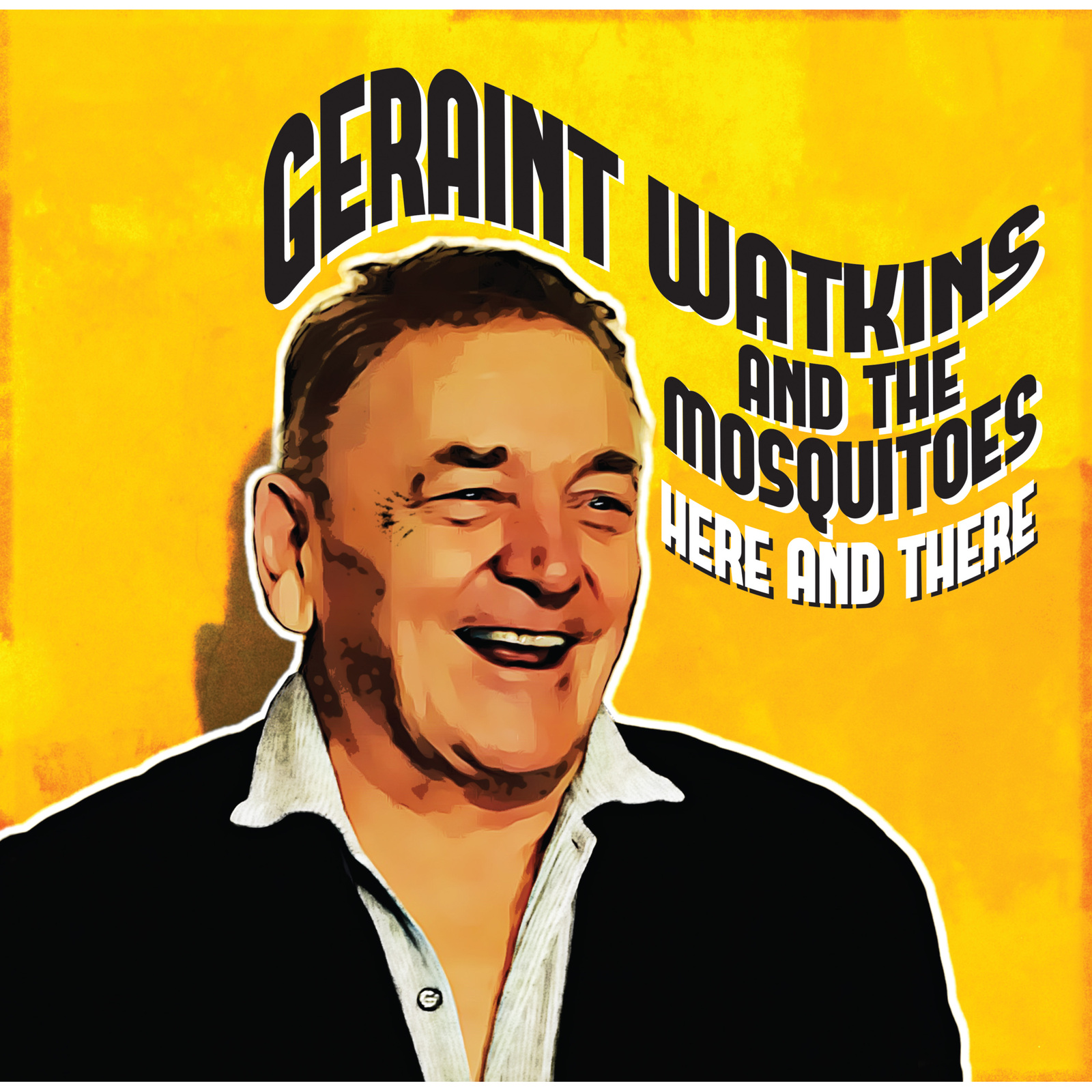Picture of Geraint Watkins and the Mosquitoes - Here and There