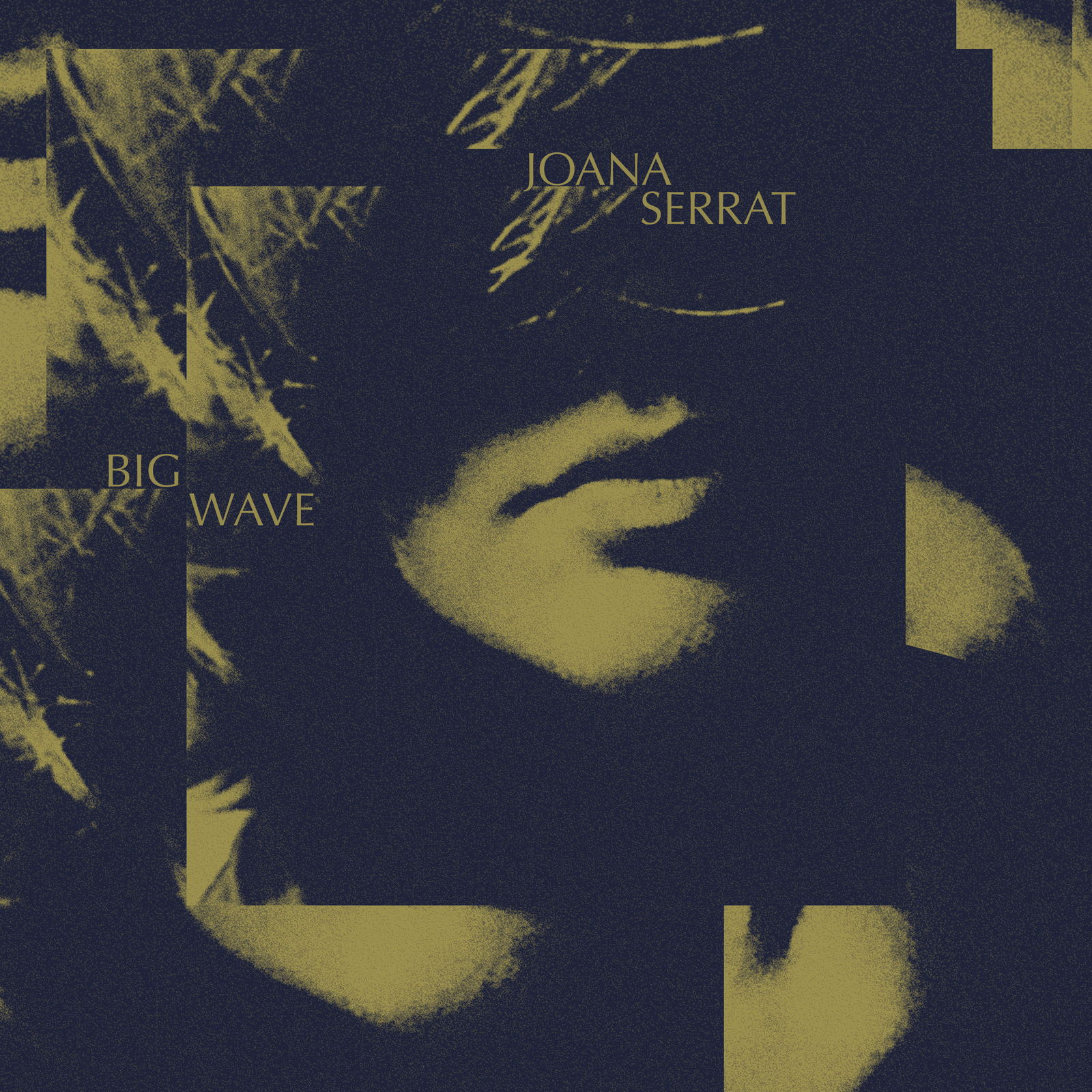 Picture of Joana Serrat - Big Wave