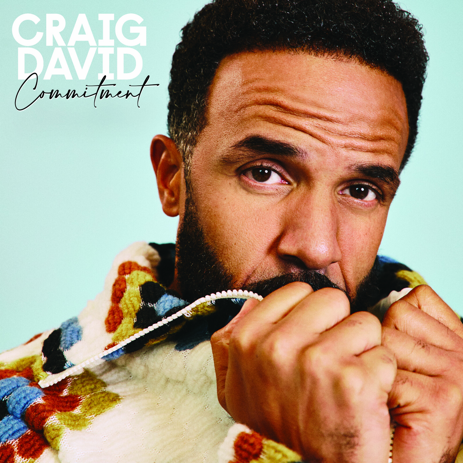 Picture of Craig David - Commitment