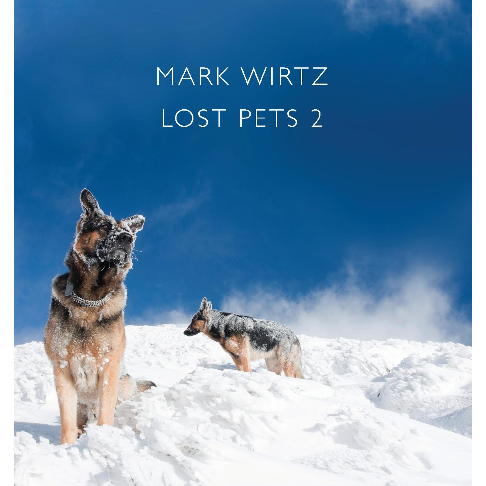 Picture of Mark Wirtz - Lost Pets 2