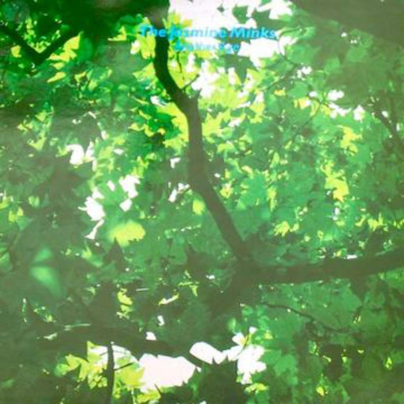 Picture of Jasmine Minks - Another Age