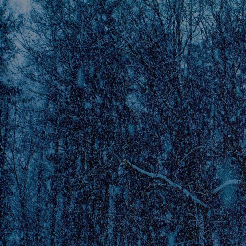 Picture of Jesu - Never EP (LP)