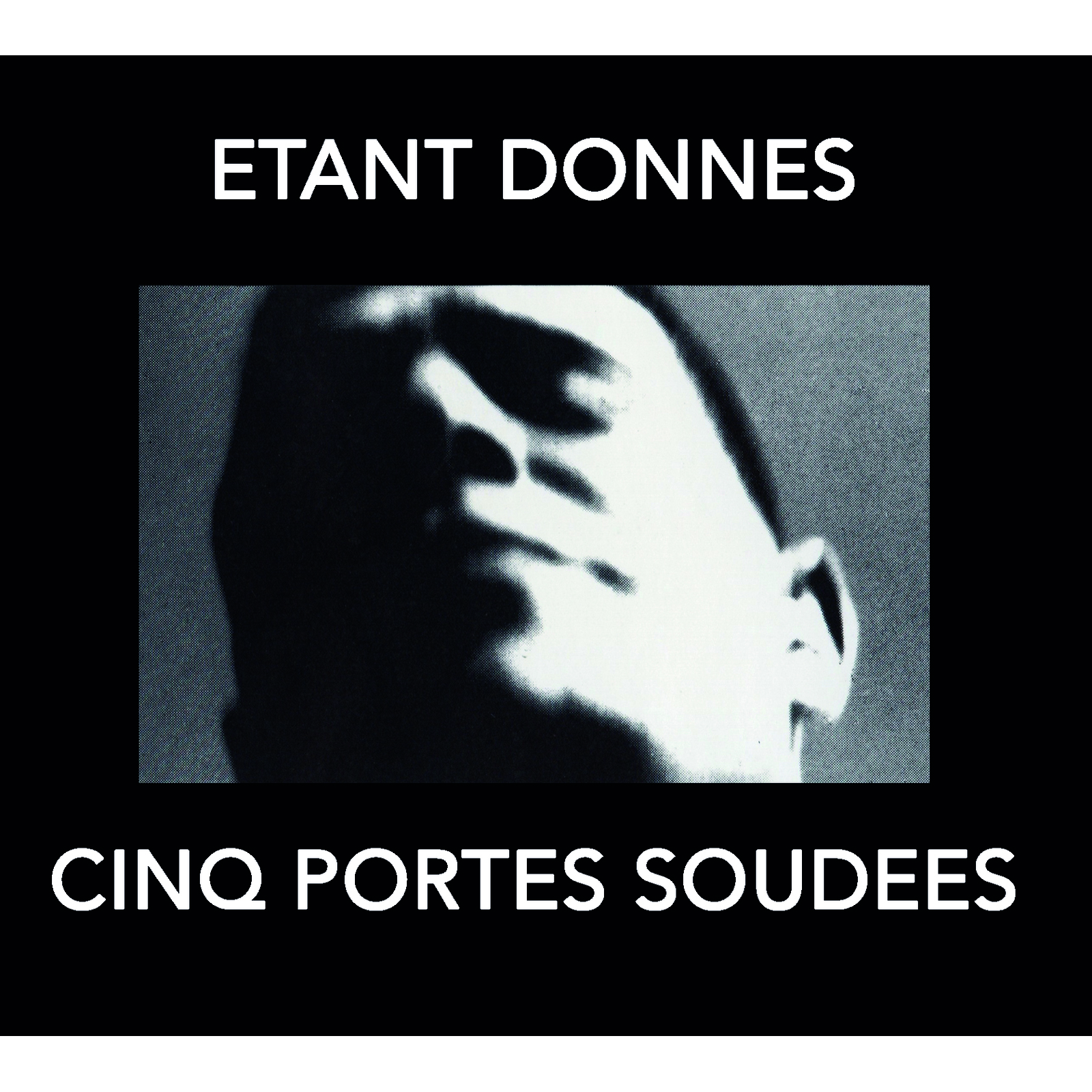 Picture of Etant Donnes - Cinq Portes Soudees