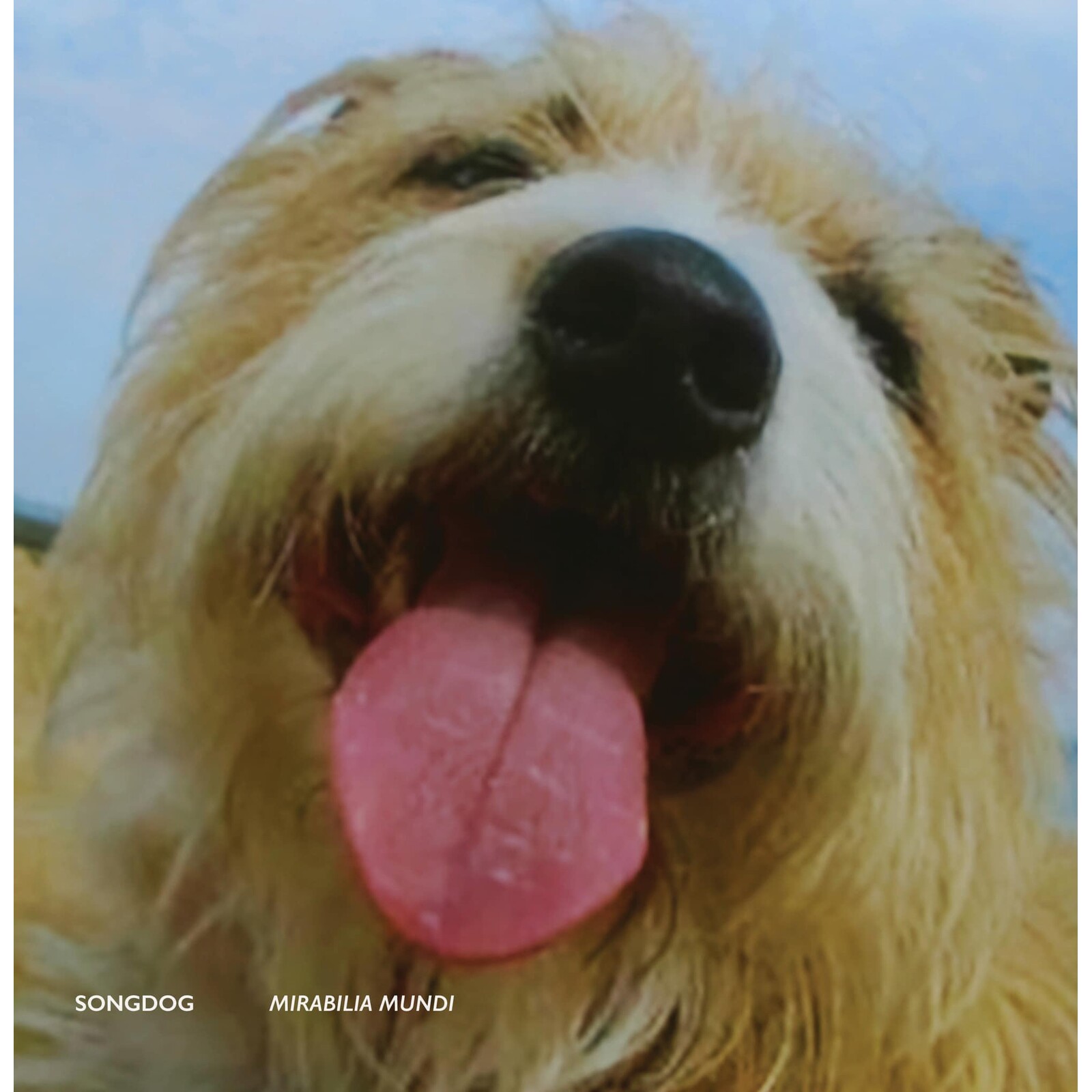 Picture of Songdog - Mirabilia Mundi