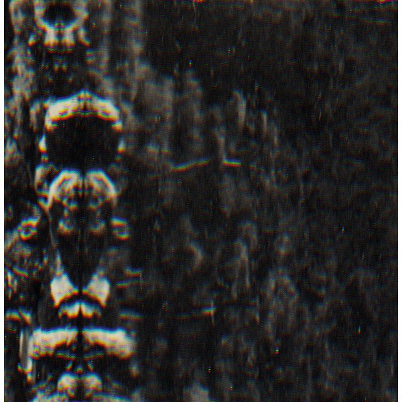 Picture of O Morto - The Forest, the people and the spirits