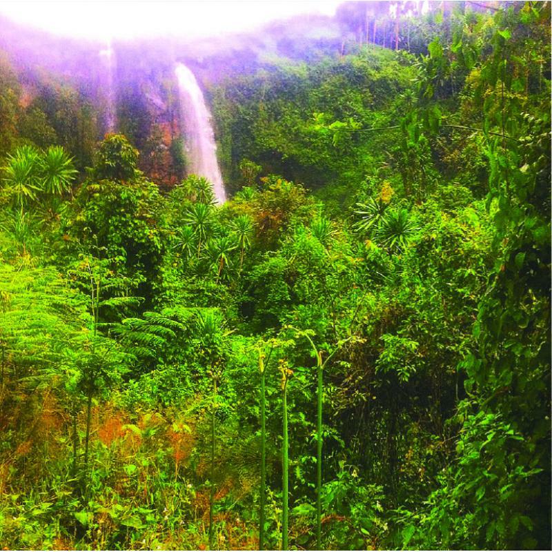 Picture of Ross Alexander - Memorias Vol1