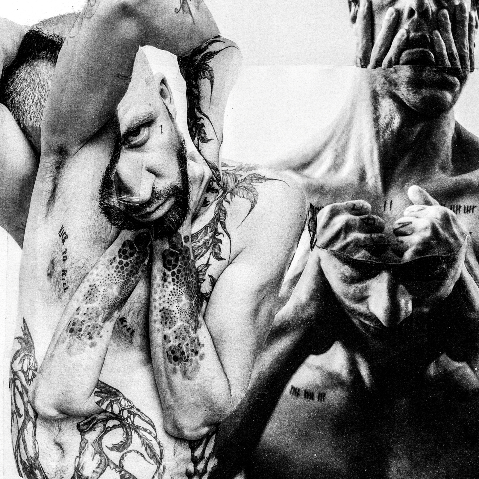 Picture of UF - Unknown Fate