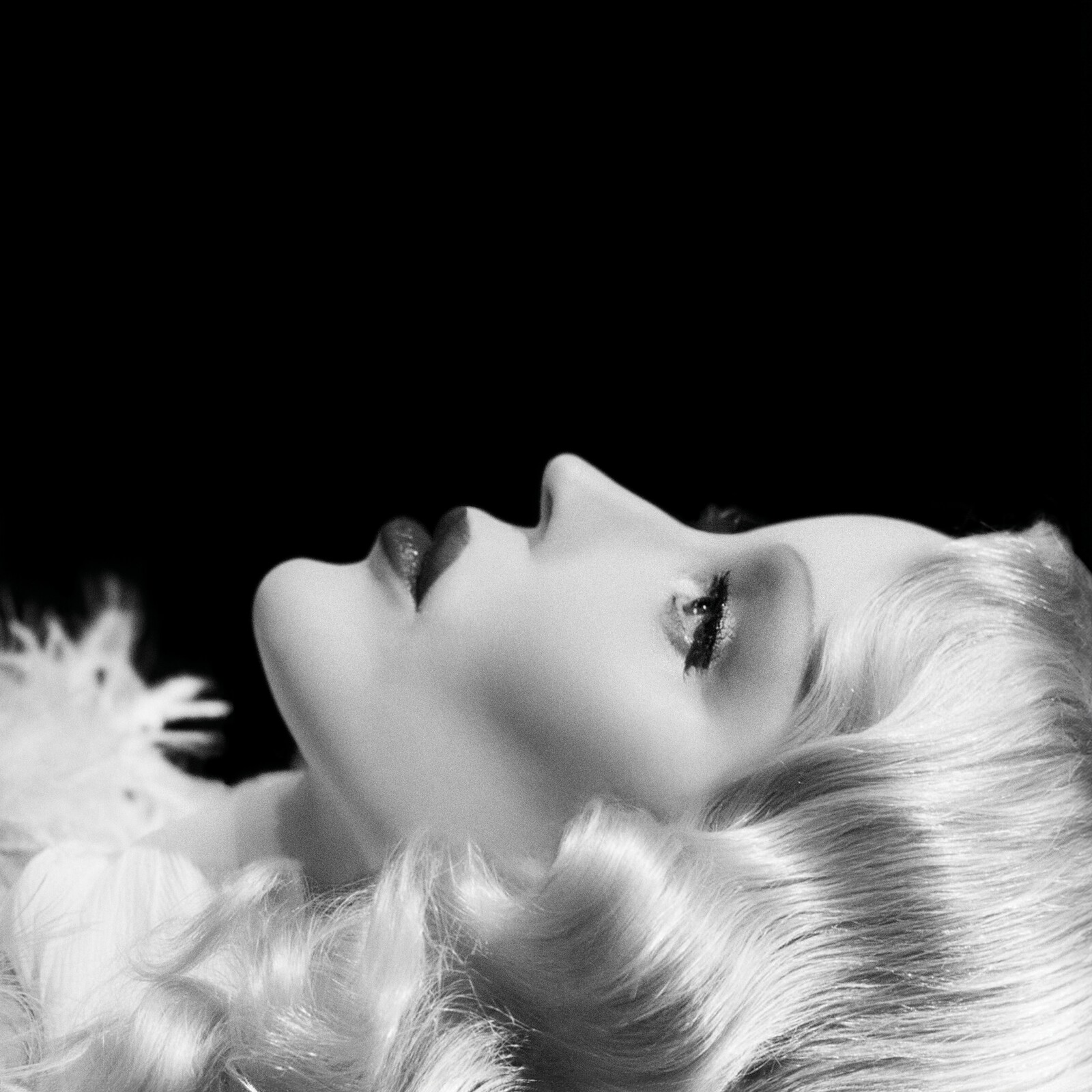 Picture of Daphne Guinness - Sleep