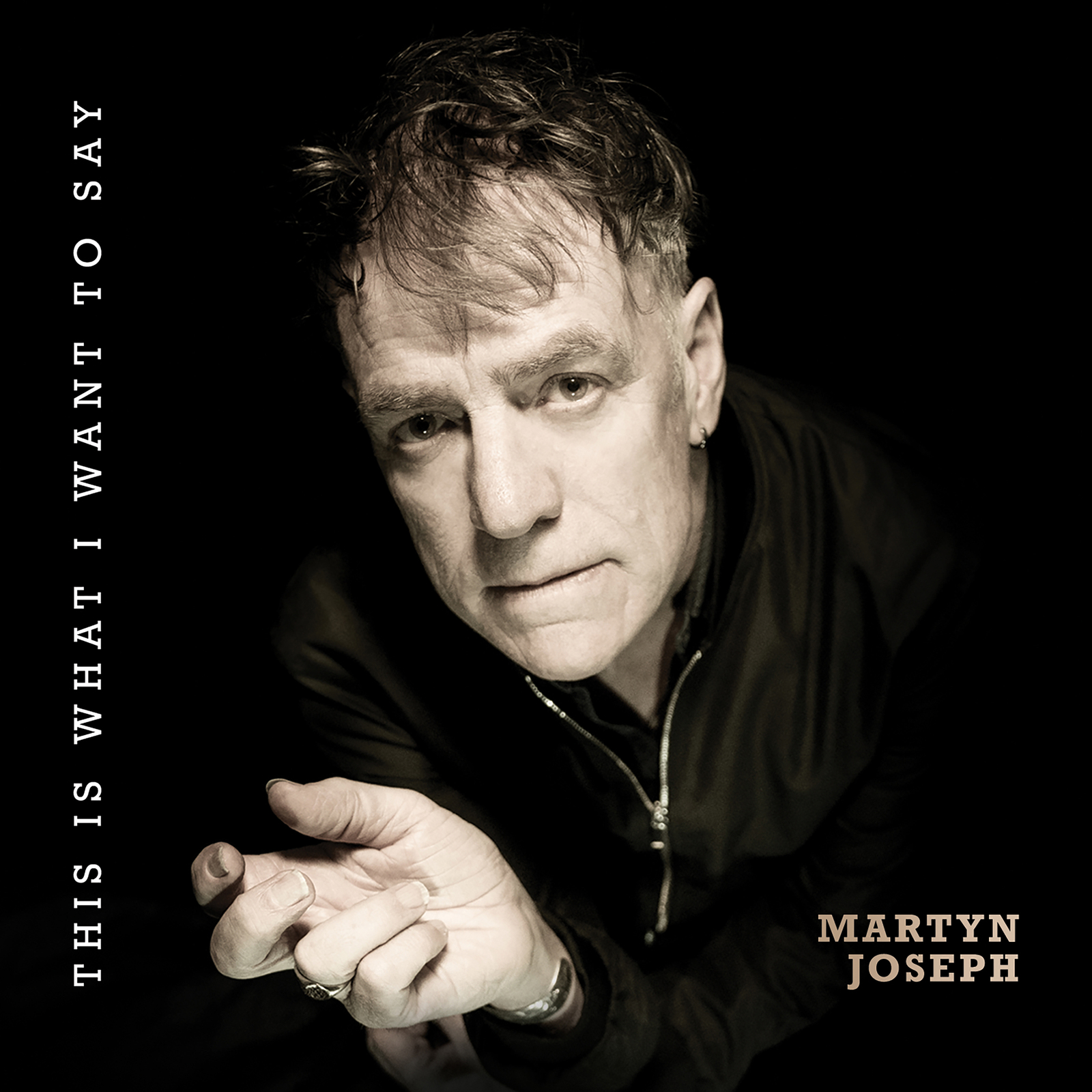 Picture of Martyn Joseph - This Is What I Want To Say