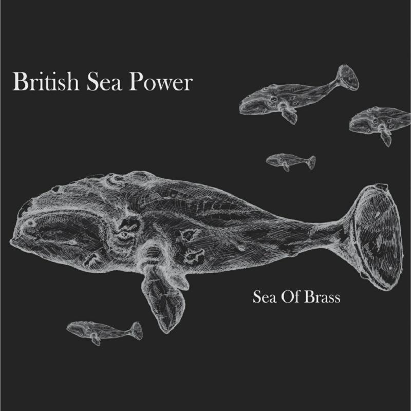Picture of British Sea Power - Sea Of Brass