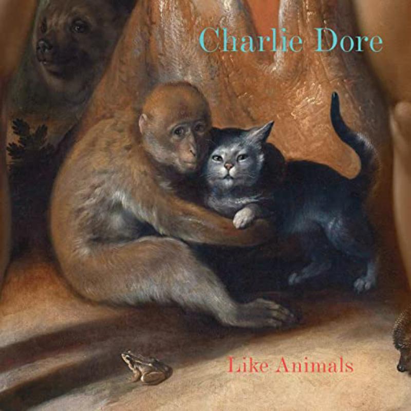 Picture of Charlie Dore - Like Animals