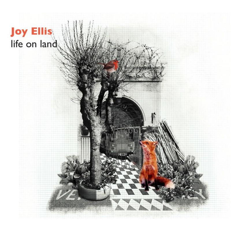 Picture of Joy Ellis - Life On Land