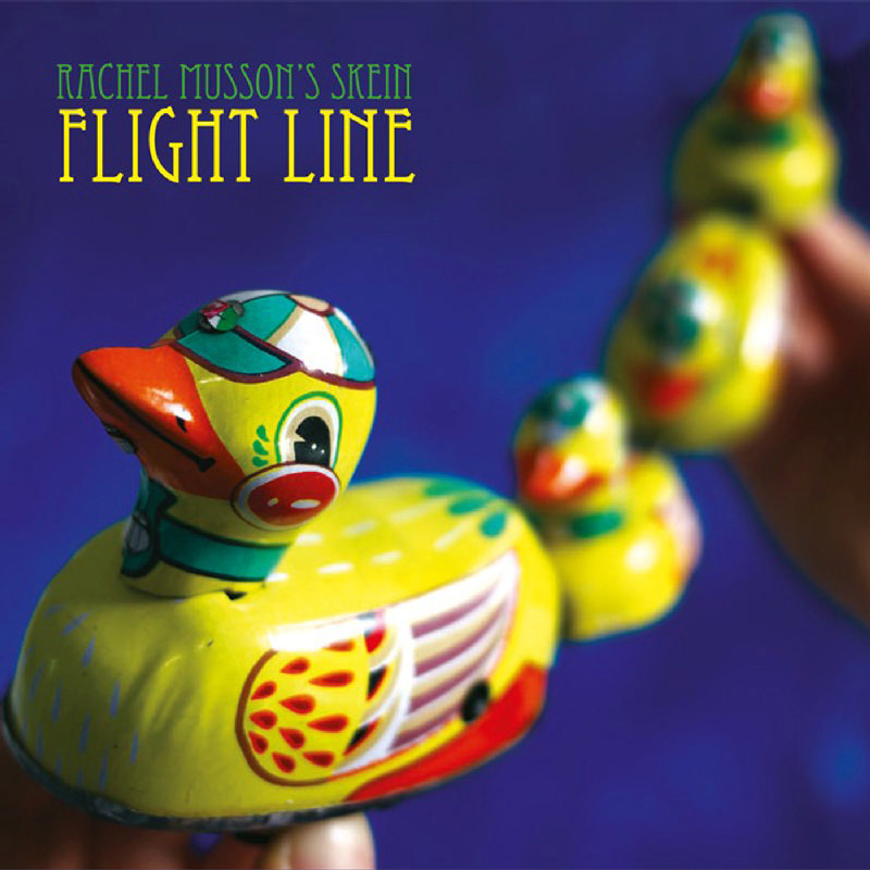 Picture of Rachel Musson's Skein - Flight Line