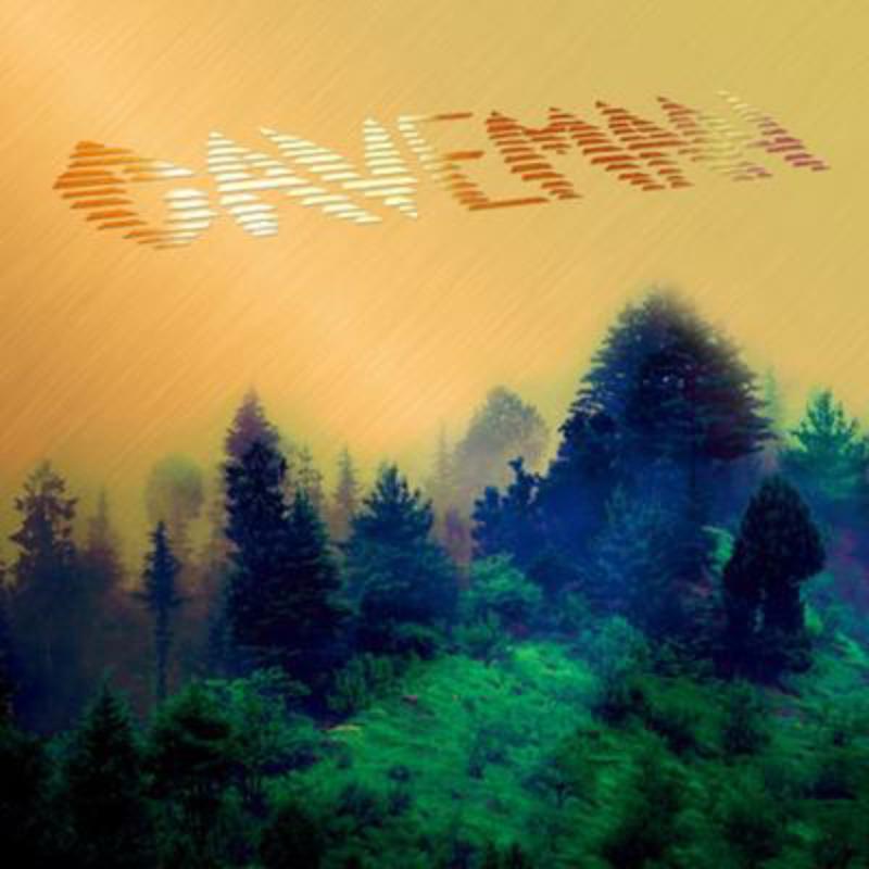 Picture of Caveman - Caveman