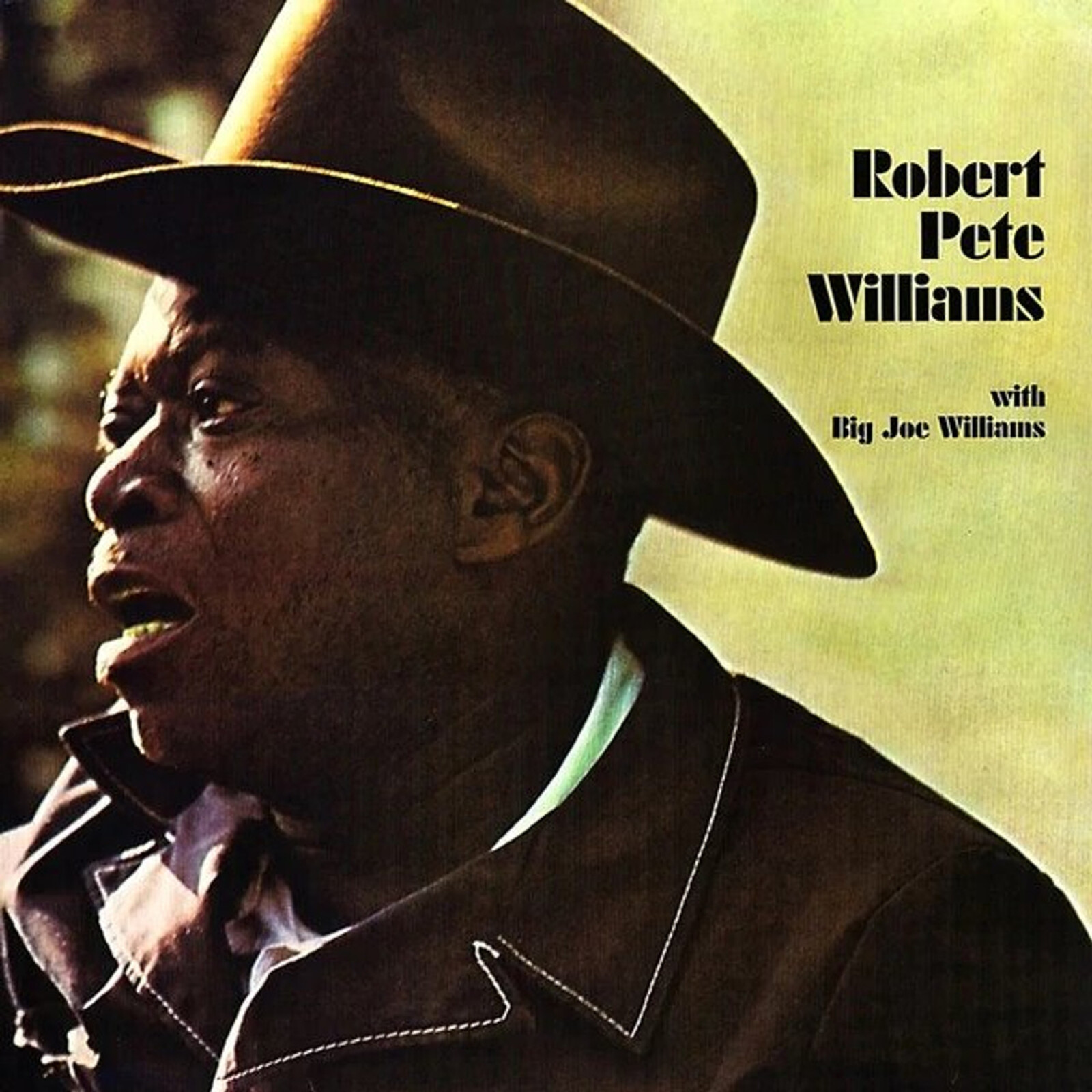 Picture of Robert Pete Williams - Robert Pete Williams with Big Joe Williams