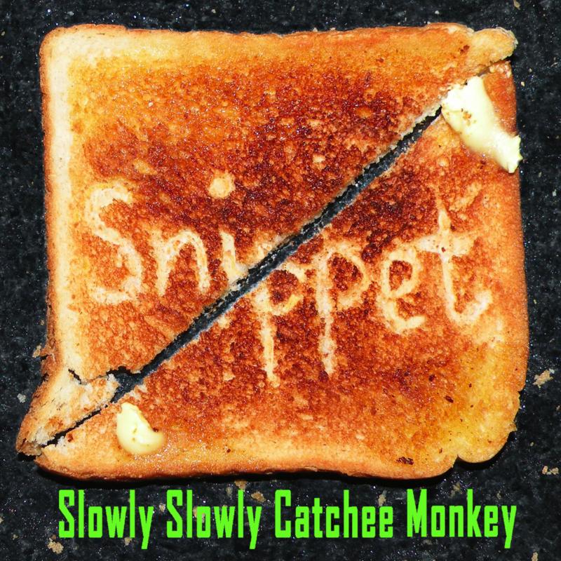 Picture of Snippet - Slowly Slowly Catchee Monkey