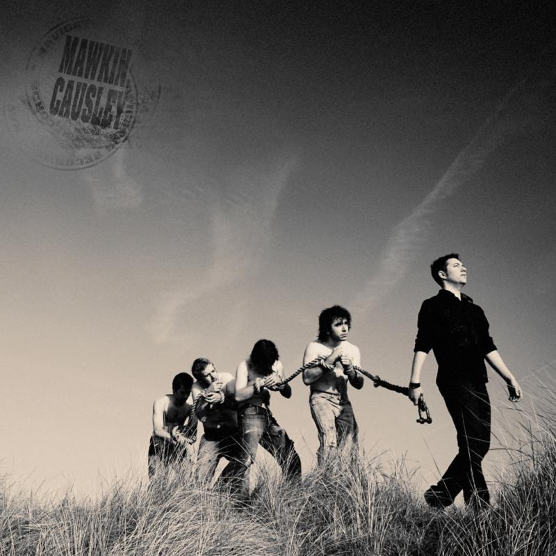 Picture of Mawkin Causley - Cold Ruin