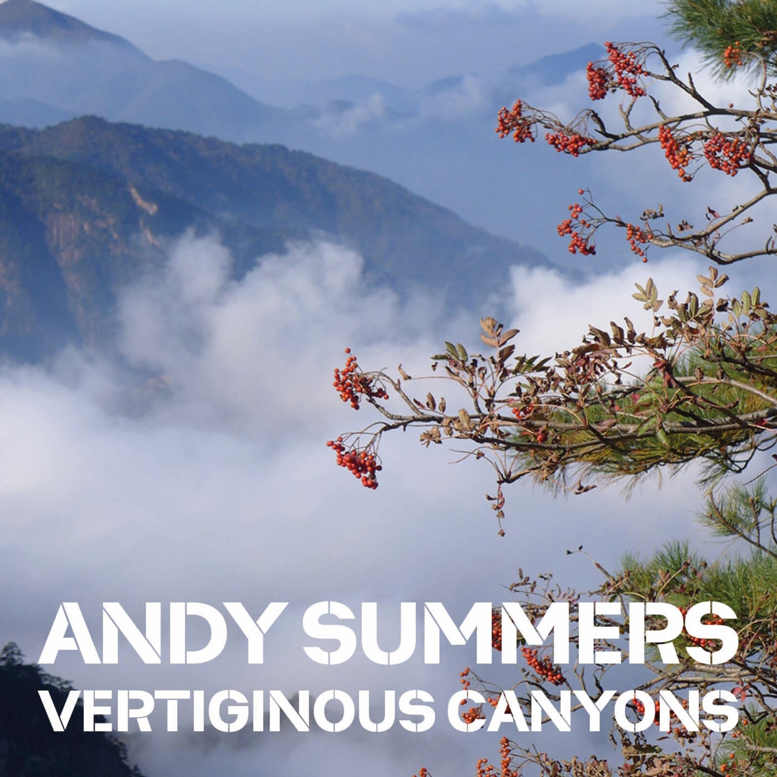 Picture of Andy Summers - Andy Summers: Vertiginous Canyons