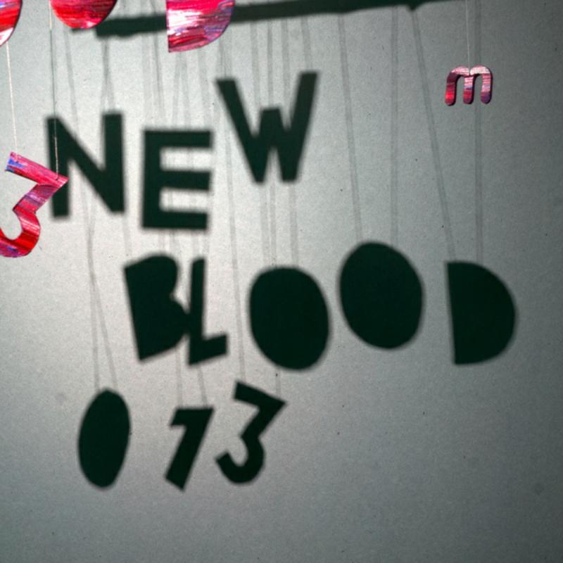 Picture of Various Artists - New Blood 013