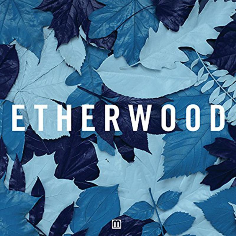 Picture of Etherwood - Blue Leaves