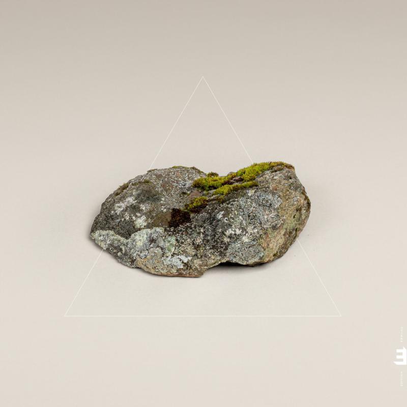 Picture of Fergus McCreadie - Cairn