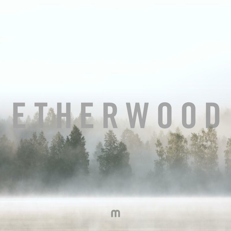 Picture of Etherwood - In Stillness