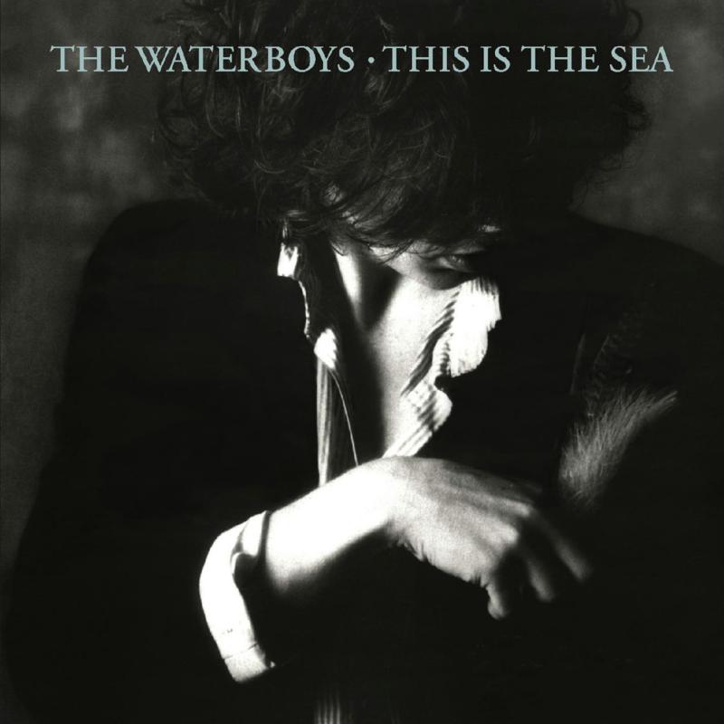 Picture of The Waterboys - This Is the Sea