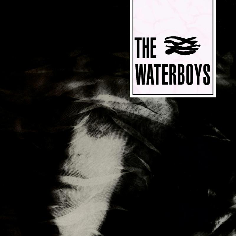 Picture of The Waterboys - The Waterboys