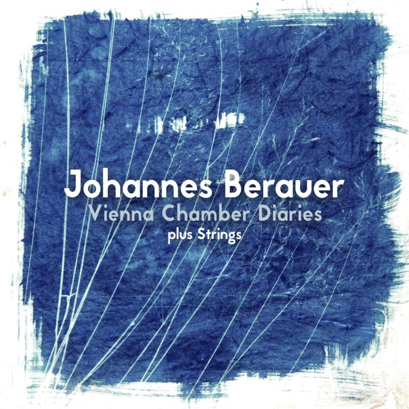Picture of Johannes Berauer - Vienna Chamber Diaries Plus Strings