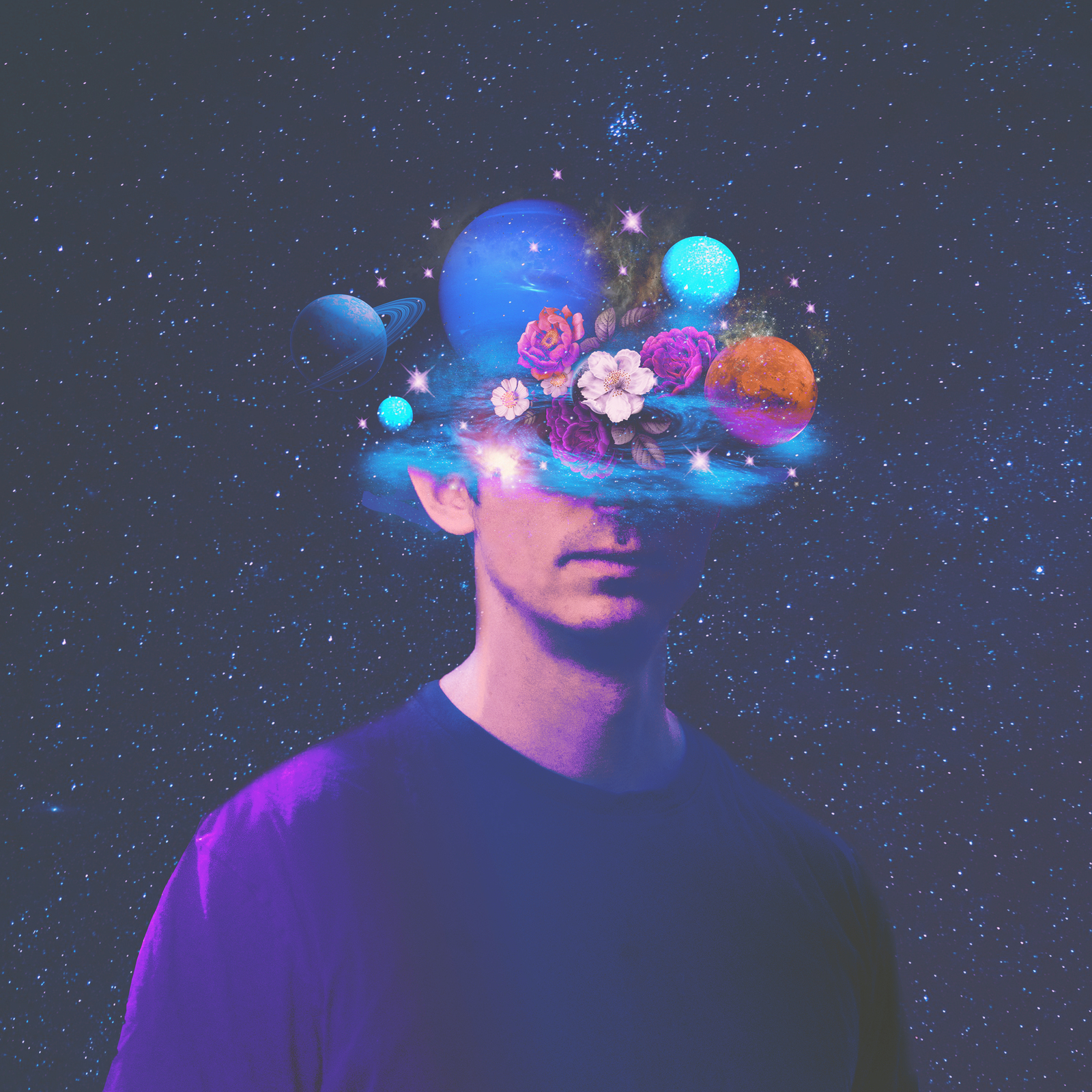 Picture of Fred V - Luminous