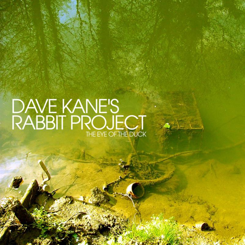 Picture of Dave Kane's Rabbit Project - The Eye of the Duck