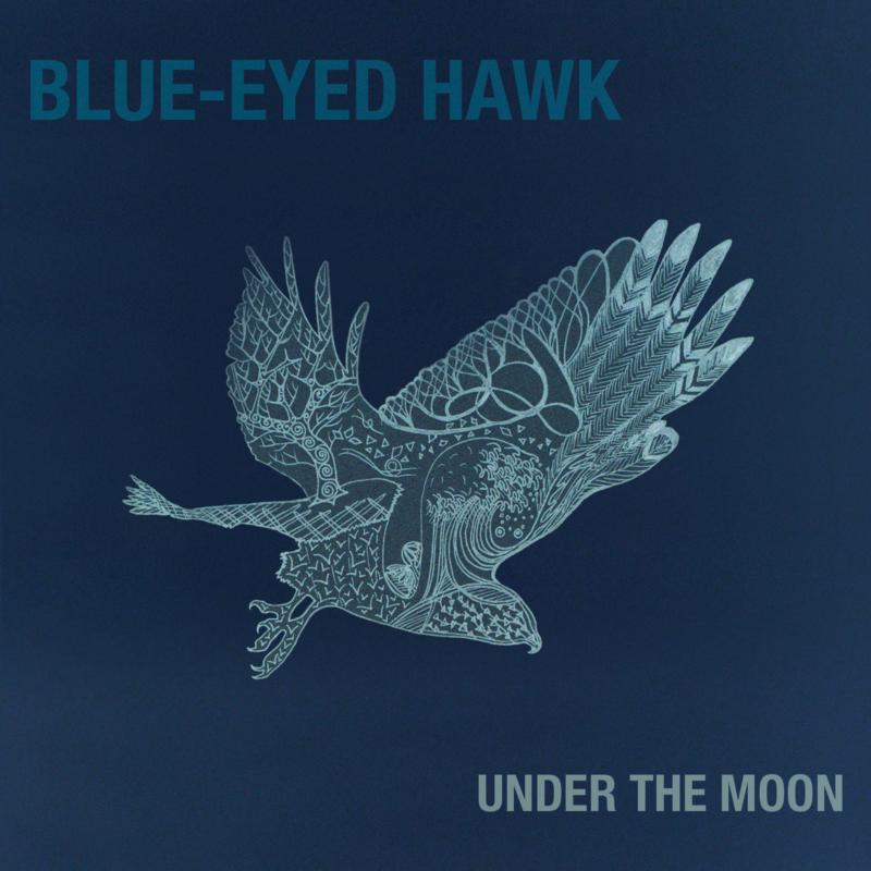 Picture of Blue-Eyed Hawk - Under the Moon