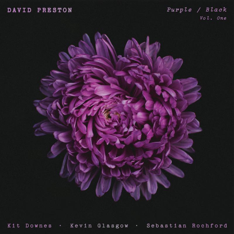 Picture of David Preston - Purple / Black Vol.1