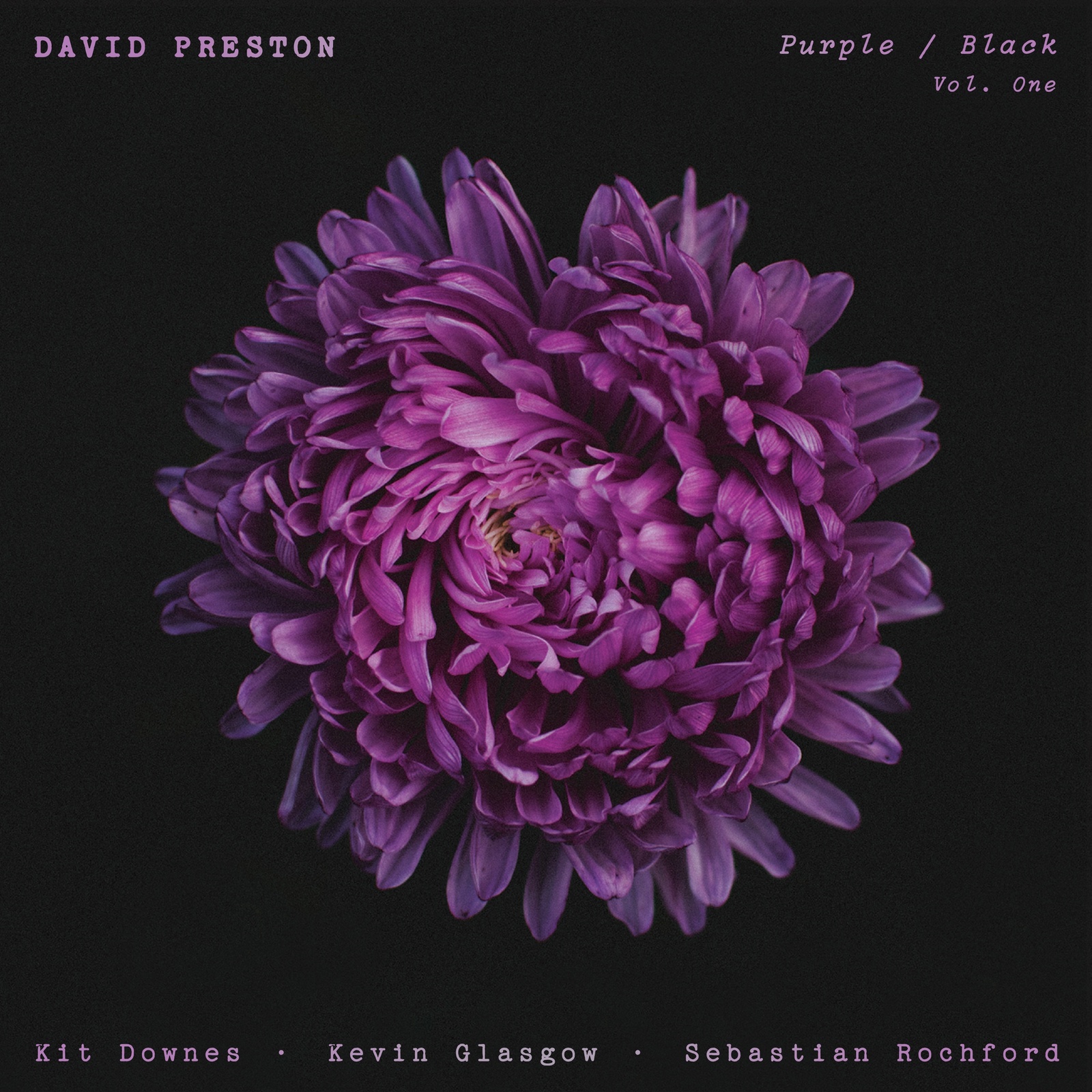 Picture of David Preston - Purple / Black Vol.1