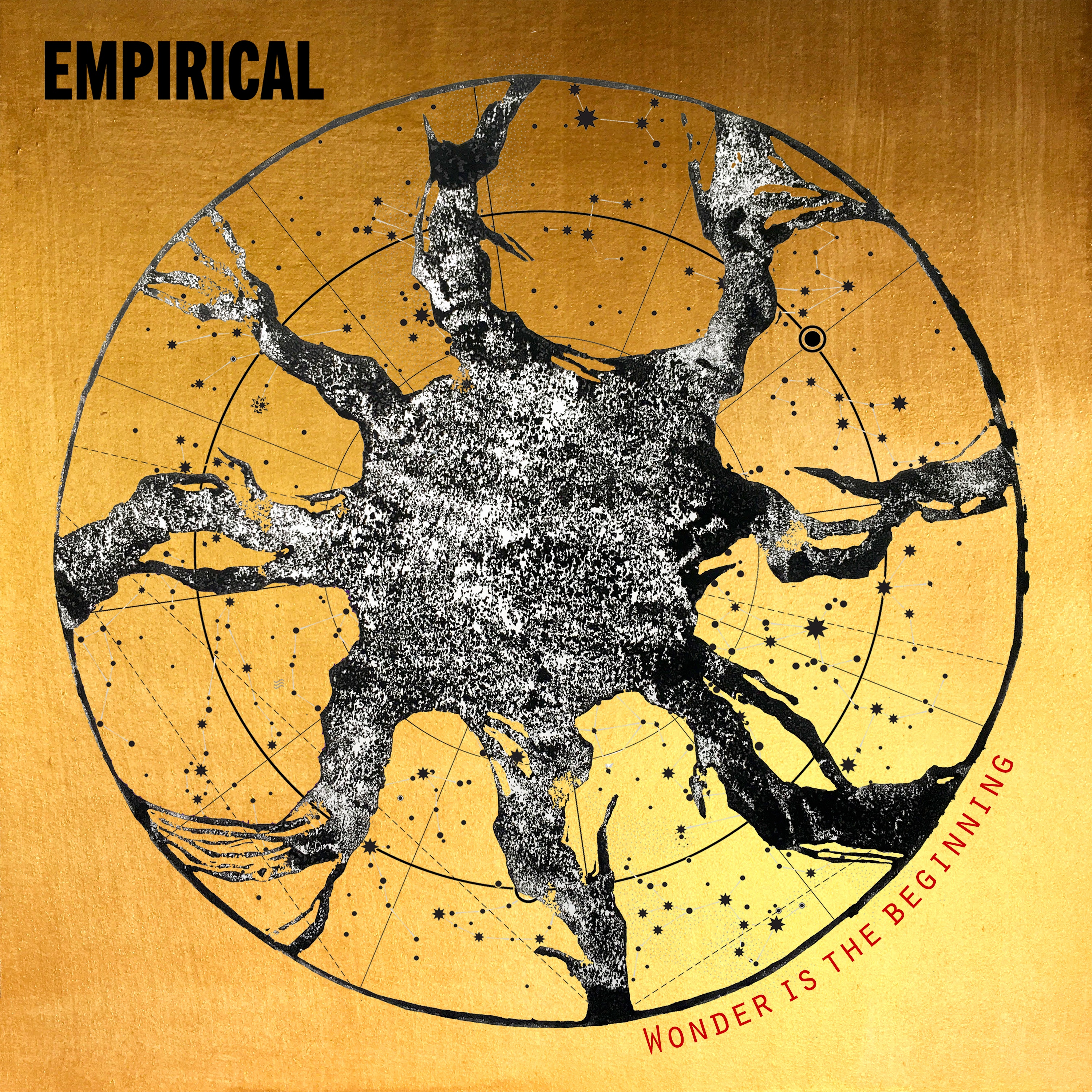 Picture of Empirical - Wonder is the Beginning