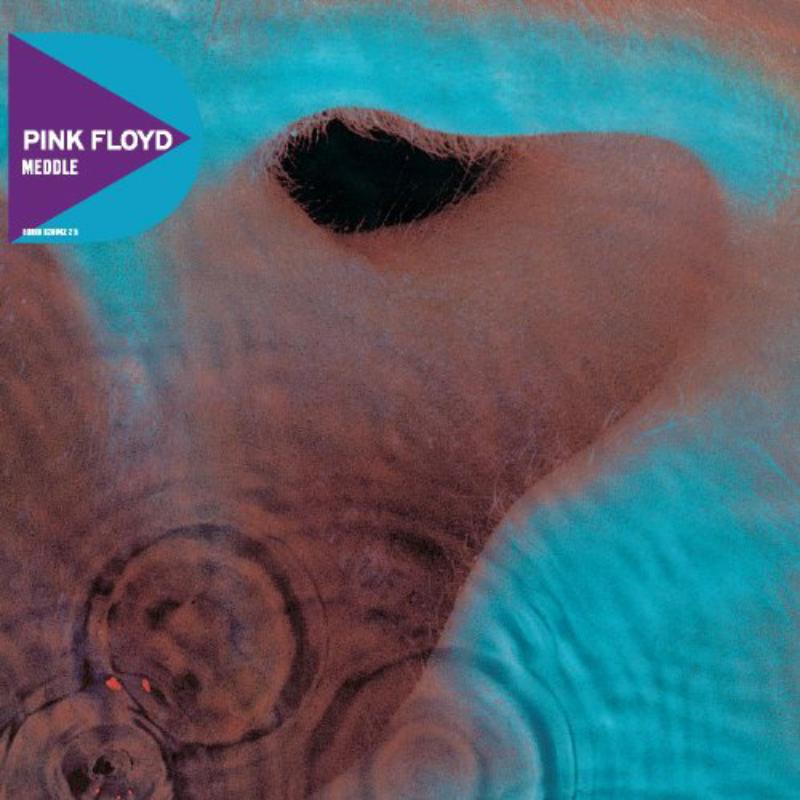 Picture of Pink Floyd - Meddle