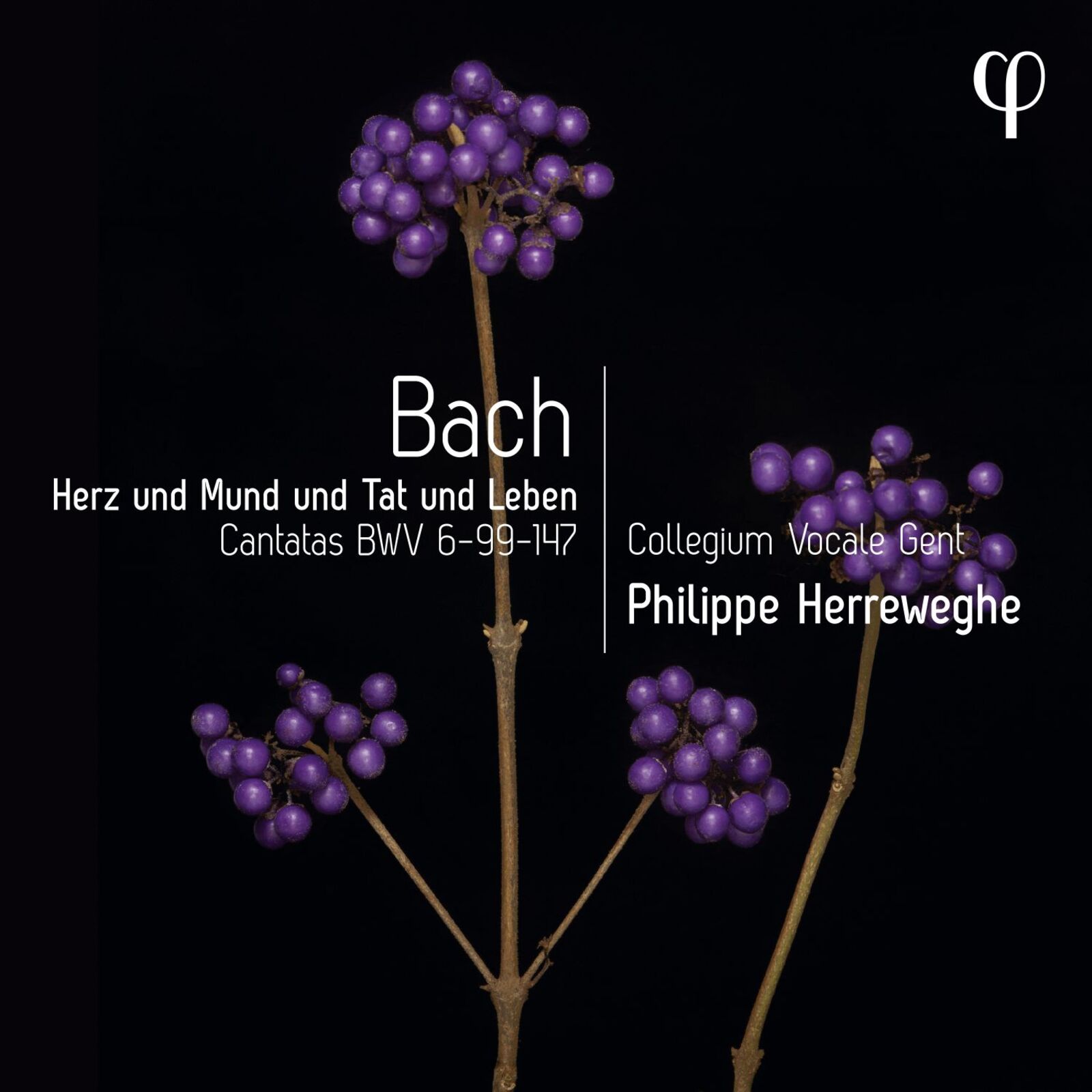 Picture of Collegium Vocale Gent; Philippe Herreweghe - Herz und Mund und Tat und Leben - Bach:Cantatas BWV6-99-147