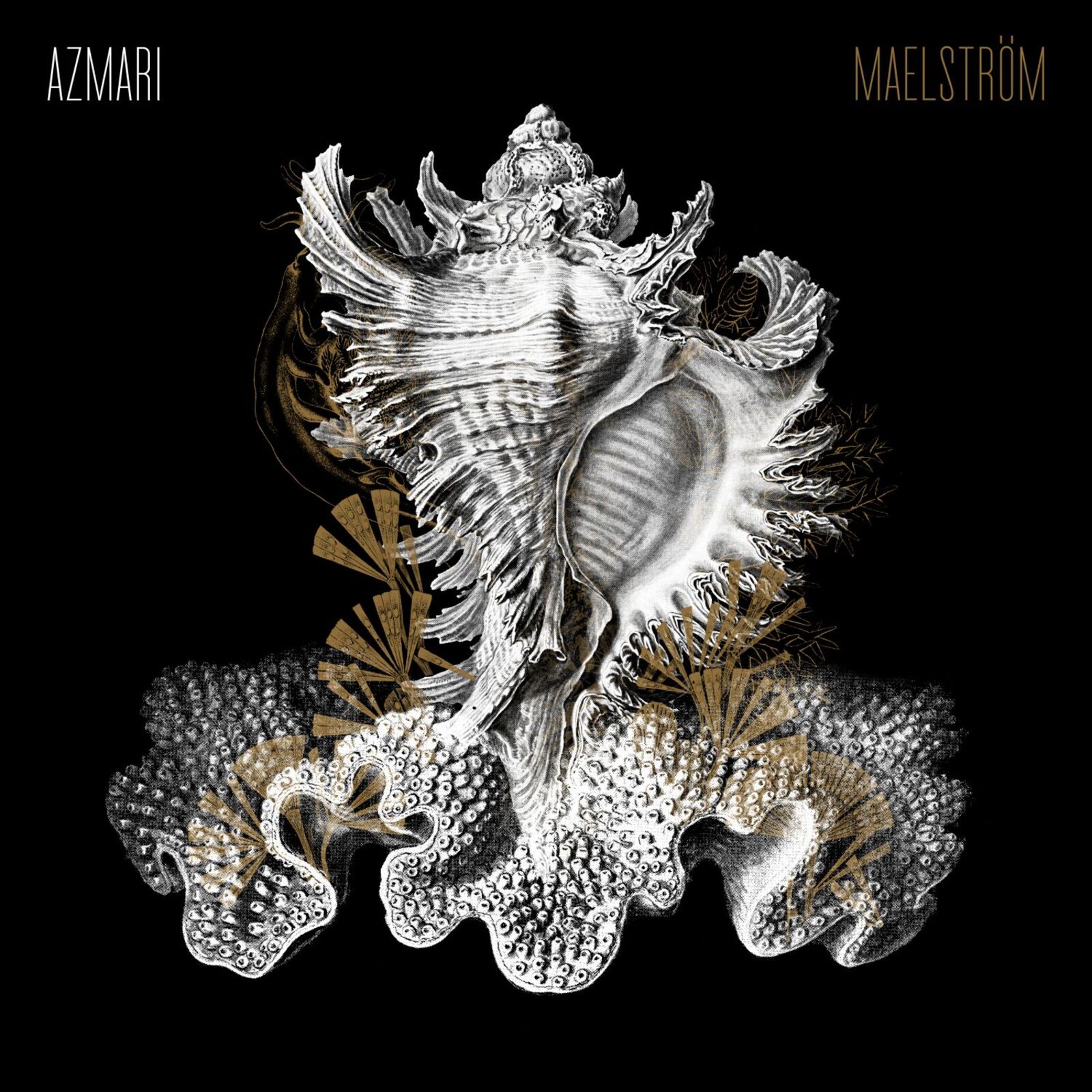Picture of AZMARI - MAELSTROM