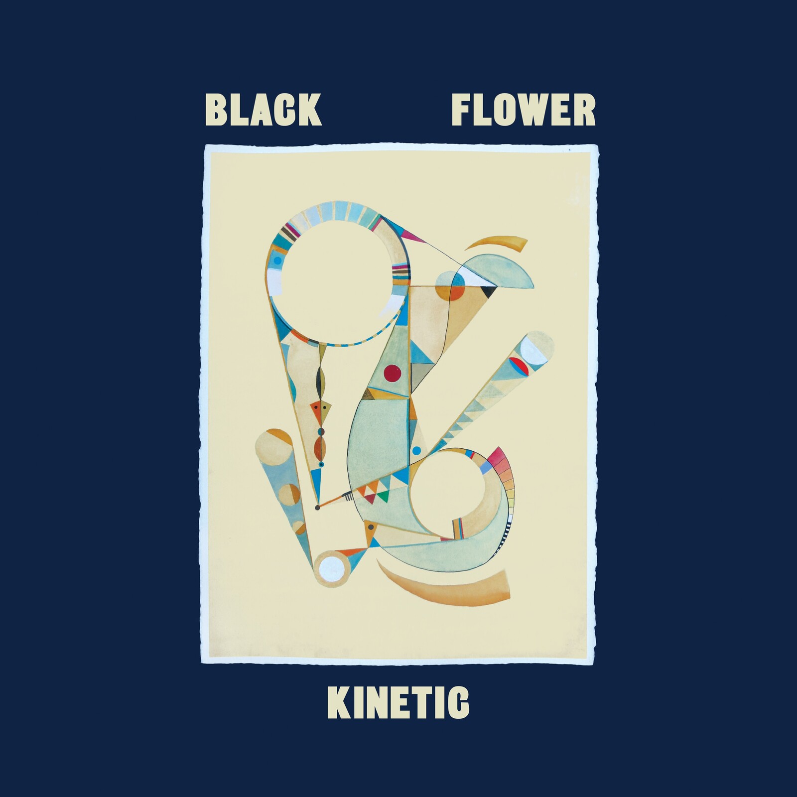 Picture of BLACK FLOWER - KINETIC