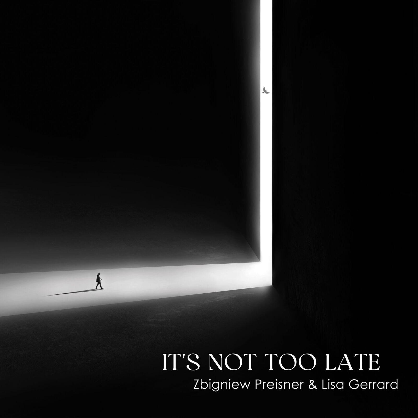 Picture of Zbigniew Preisner & Lisa Gerrard - It's Not Too Late