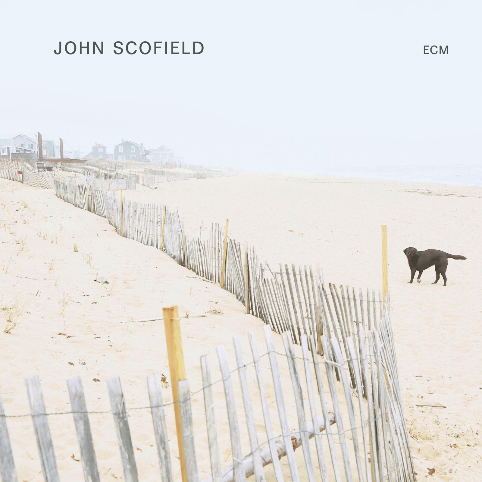 Picture of John Scofield - John Scofield