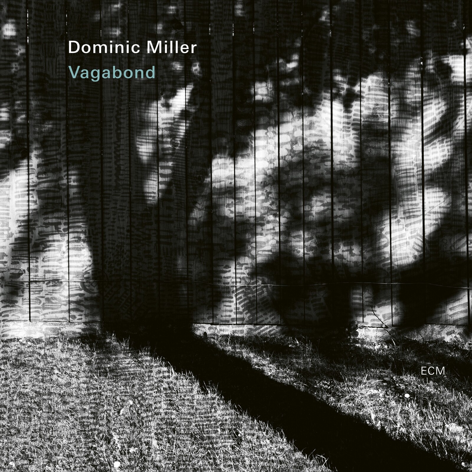 Picture of Dominic Miller - Vagabond