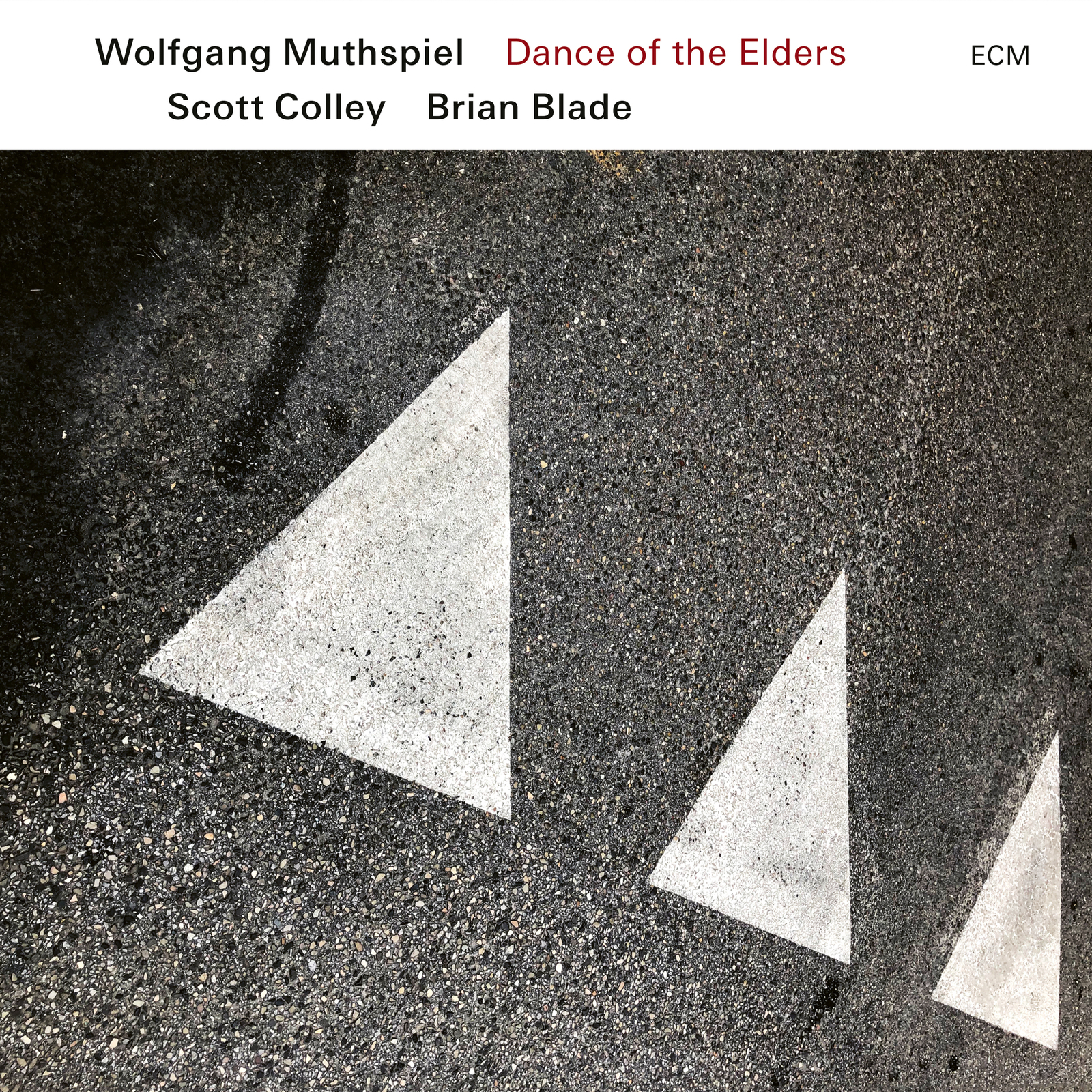 Picture of Wolfgang Muthspiel, Scott Colley & Brian Blade - Dance of the Elders
