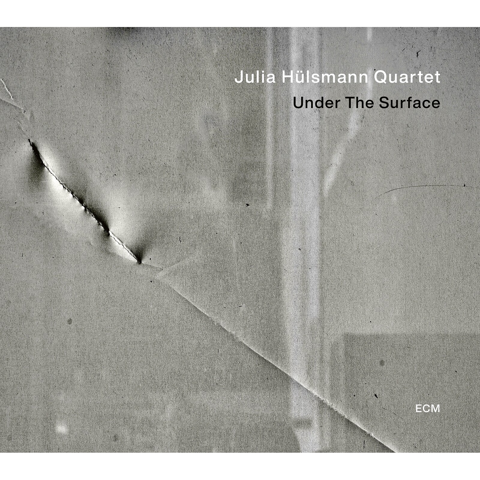 Picture of Julia Hulsmann Quartet - Julia Hulsmann: Under the surface