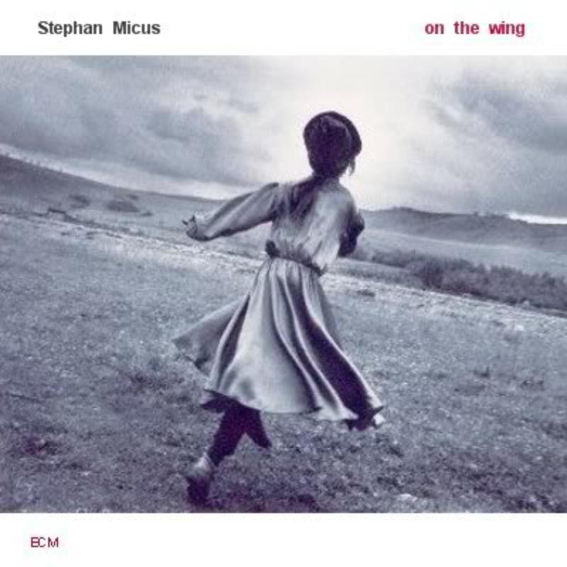 Picture of Stephan Micus - On The Wing