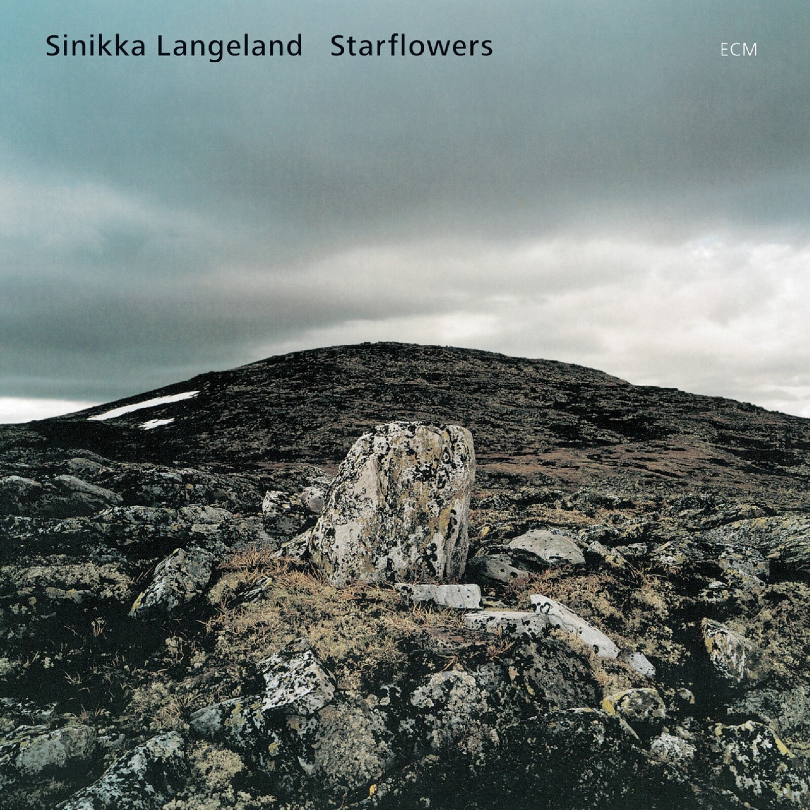 Picture of Sinikka Langeland - Starflowers
