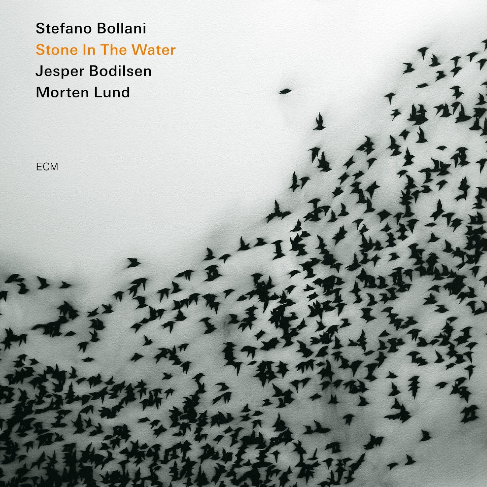 Picture of Stefano Bollani Trio - Stone In The Water