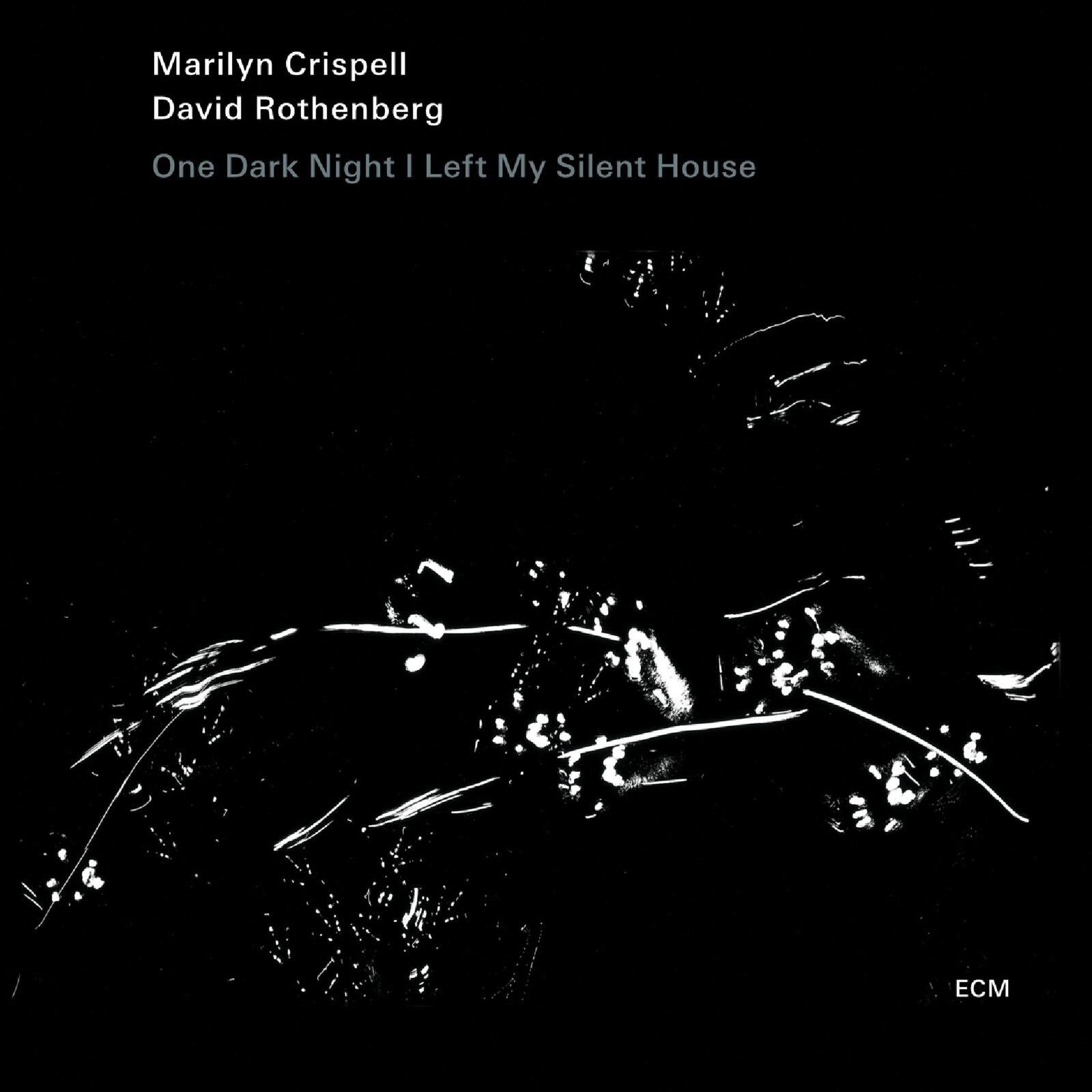 Picture of Marilyn Crispell & David Rothenberg - One Dark Night I Left My Silent House