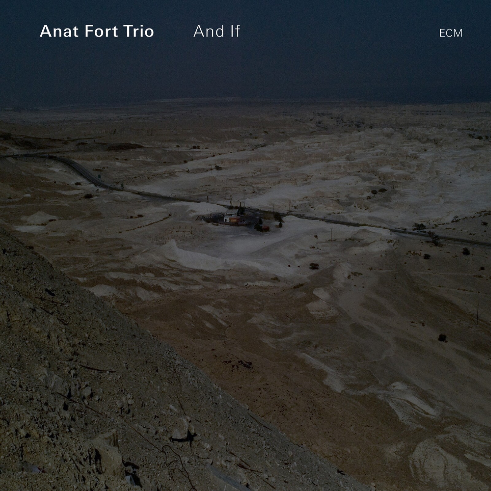 Picture of Anat Fort Trio - And If